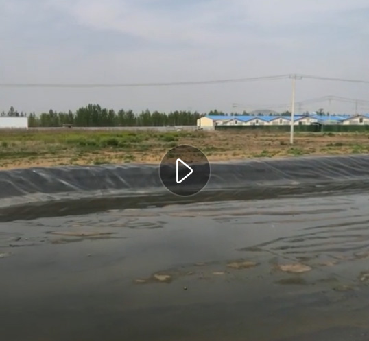 黑膜沼气池案例视频展示